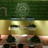 salad display